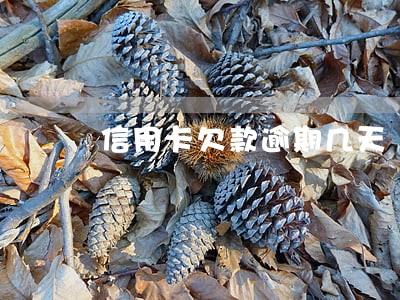 信用卡欠款逾期几天 信用卡欠款逾期几天
