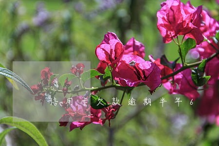 信用卡欠款逾期半年6 信用卡欠款逾期半年6
