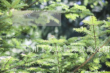 信用卡欠款逾期协商分期还
