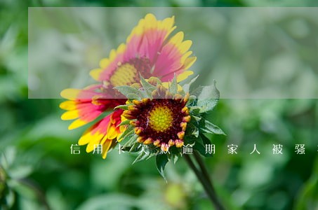 信用卡欠款逾期家人被骚扰 信用卡欠款逾期家人被骚扰