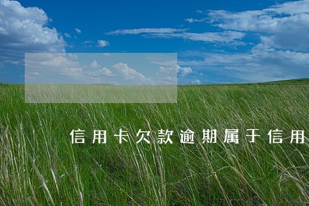 信用卡欠款逾期属于信用风险 信用卡欠款逾期属于信用风险