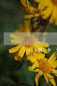 信用卡欠款逾期征信补救 信用卡欠款逾期征信补救