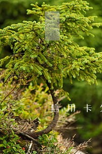 信用卡欠款逾期怎么办6