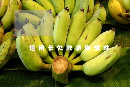 信用卡欠款逾期案件 信用卡欠款逾期案件