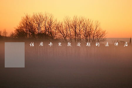 信用卡欠款逾期的法律后果 信用卡欠款逾期的法律后果