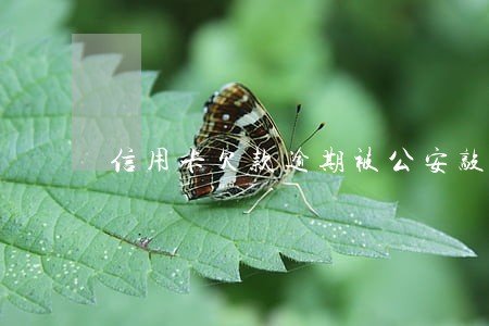 信用卡欠款逾期被公安敲门 信用卡欠款逾期被公安敲门