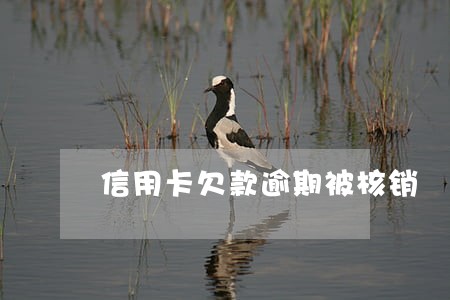 信用卡欠款逾期被核销 信用卡欠款逾期被核销
