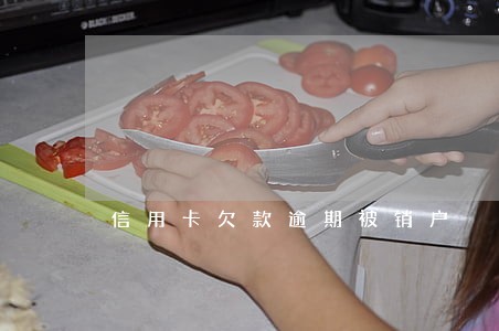 信用卡欠款逾期被销户 信用卡欠款逾期被销户