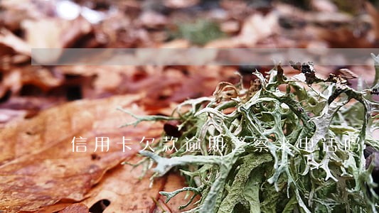 信用卡欠款逾期警察来电话吗