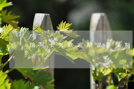 信用卡欠款逾期说要强制执行