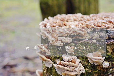 信用卡欠款逾期近一年 信用卡欠款逾期近一年