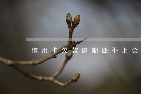 信用卡欠款逾期还不上会上门吗