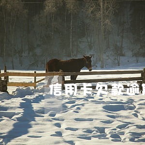 信用卡欠款逾期还能办储蓄卡吗