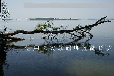 信用卡欠款逾期还能贷款吗 信用卡欠款逾期还能贷款吗