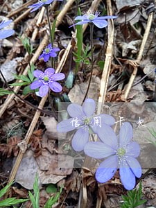 信用卡欠百万逾期 信用卡欠百万逾期