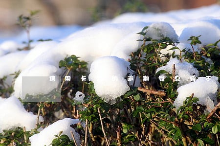 信用卡欠的逾期罚息要不要付 信用卡欠的逾期罚息要不要付