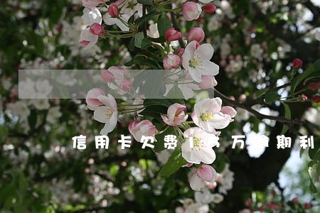 信用卡欠费15万逾期利息多少 信用卡欠费15万逾期利息多少