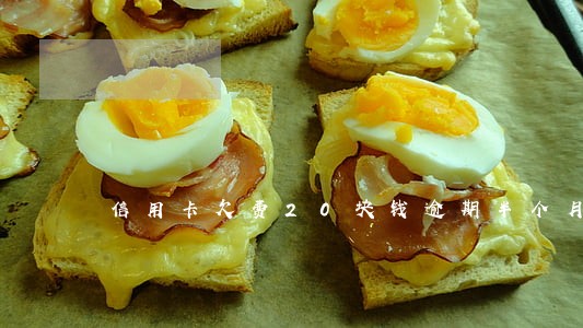 信用卡欠费20块钱逾期半个月 信用卡欠费20块钱逾期半个月