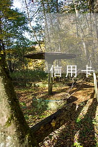 信用卡欠费500逾期一天 信用卡欠费500逾期一天