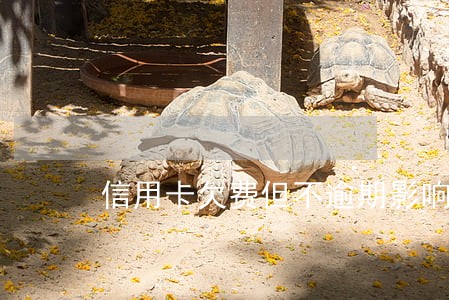信用卡欠费但不逾期影响征信吗