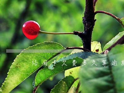 信用卡欠费多久算逾期