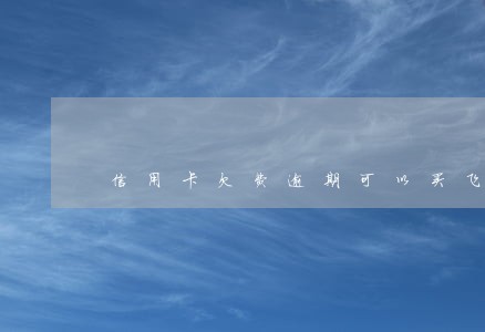 信用卡欠费逾期可以买飞机票吗 信用卡欠费逾期可以买飞机票吗