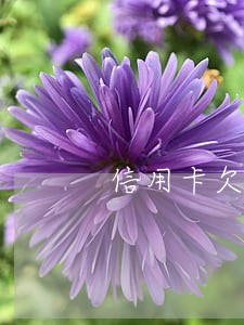 信用卡欠费逾期骗局 信用卡欠费逾期骗局