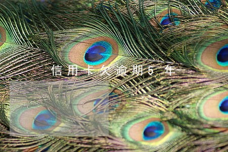 信用卡欠逾期5年 信用卡欠逾期5年
