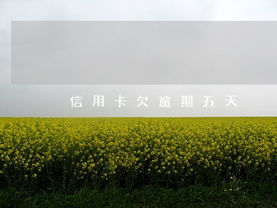 信用卡欠逾期五天 信用卡欠逾期五天