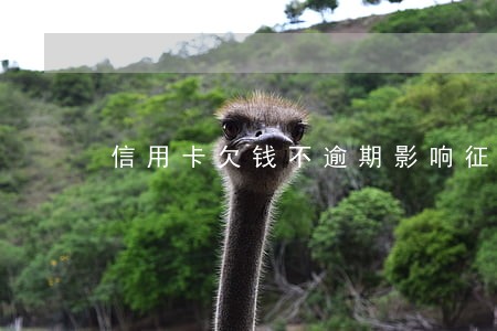 信用卡欠钱不逾期影响征信吗 信用卡欠钱不逾期影响征信吗