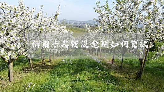 信用卡欠钱没逾期如何贷款 信用卡欠钱没逾期如何贷款
