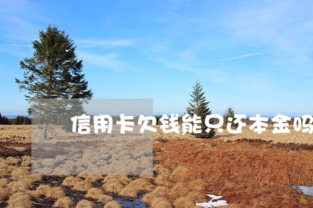 信用卡欠钱能只还本金吗 信用卡欠钱能只还本金吗