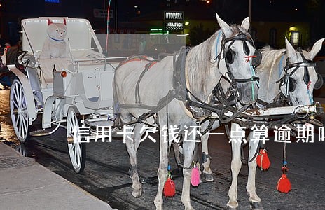 信用卡欠钱还一点算逾期吗 信用卡欠钱还一点算逾期吗