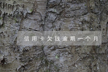 信用卡欠钱逾期一个月