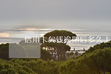 信用卡欠钱逾期后多久上征信