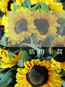信用卡款逾期还完