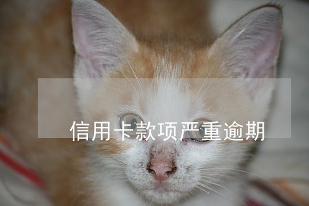 信用卡款项严重逾期 信用卡款项严重逾期