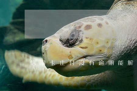 信用卡止付没有逾期能解除吗 信用卡止付没有逾期能解除吗