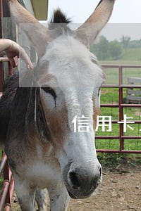 信用卡正在逾期 信用卡正在逾期
