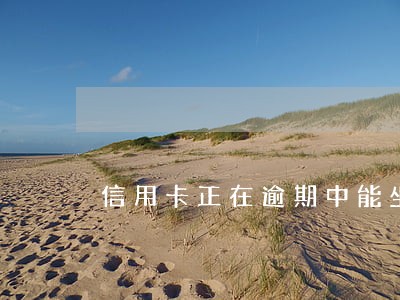 信用卡正在逾期中能坐轻轨吗 信用卡正在逾期中能坐轻轨吗