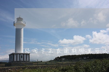 信用卡正在逾期哪里可以借钱