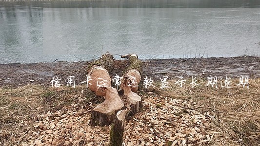 信用卡正常还款显示长期逾期