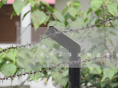 信用卡正常逾期会坐牢吗