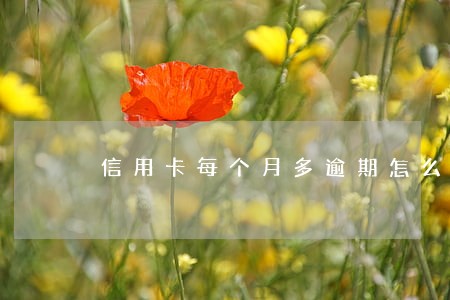 信用卡每个月多逾期怎么办 信用卡每个月多逾期怎么办