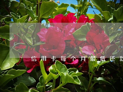 信用卡每个月最低还款算逾期 信用卡每个月最低还款算逾期