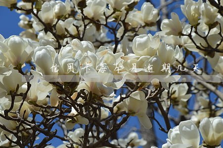 信用卡每个月逾期几天