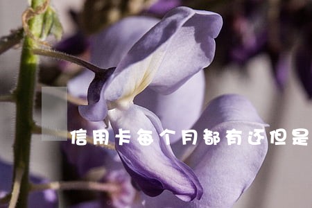 信用卡每个月都有还但是逾期 信用卡每个月都有还但是逾期