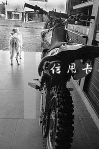信用卡每月还款逾期么