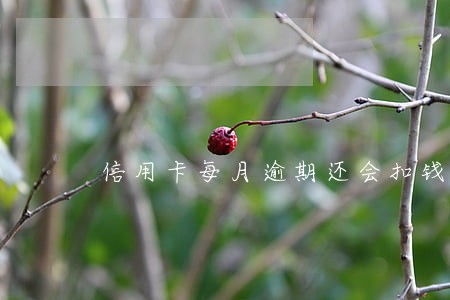 信用卡每月逾期还会扣钱吗 信用卡每月逾期还会扣钱吗
