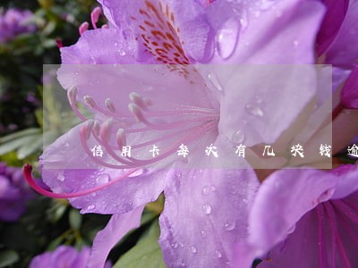 信用卡每次有几块钱逾期 信用卡每次有几块钱逾期